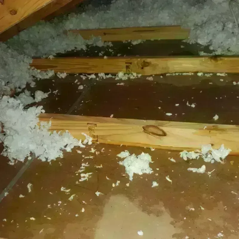 Attic Water Damage in Loris, SC