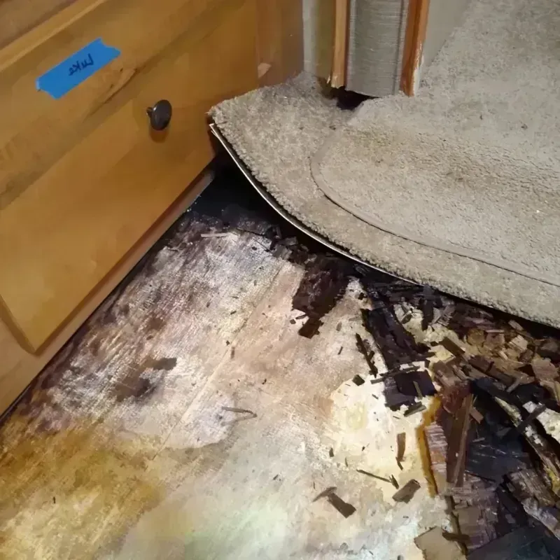 Wood Floor Water Damage in Loris, SC